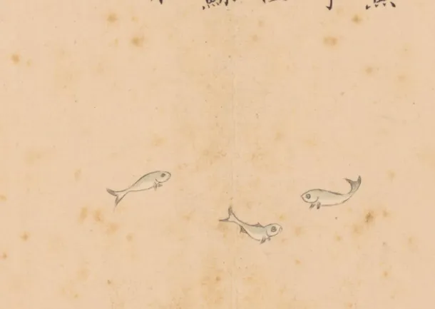 小鱼