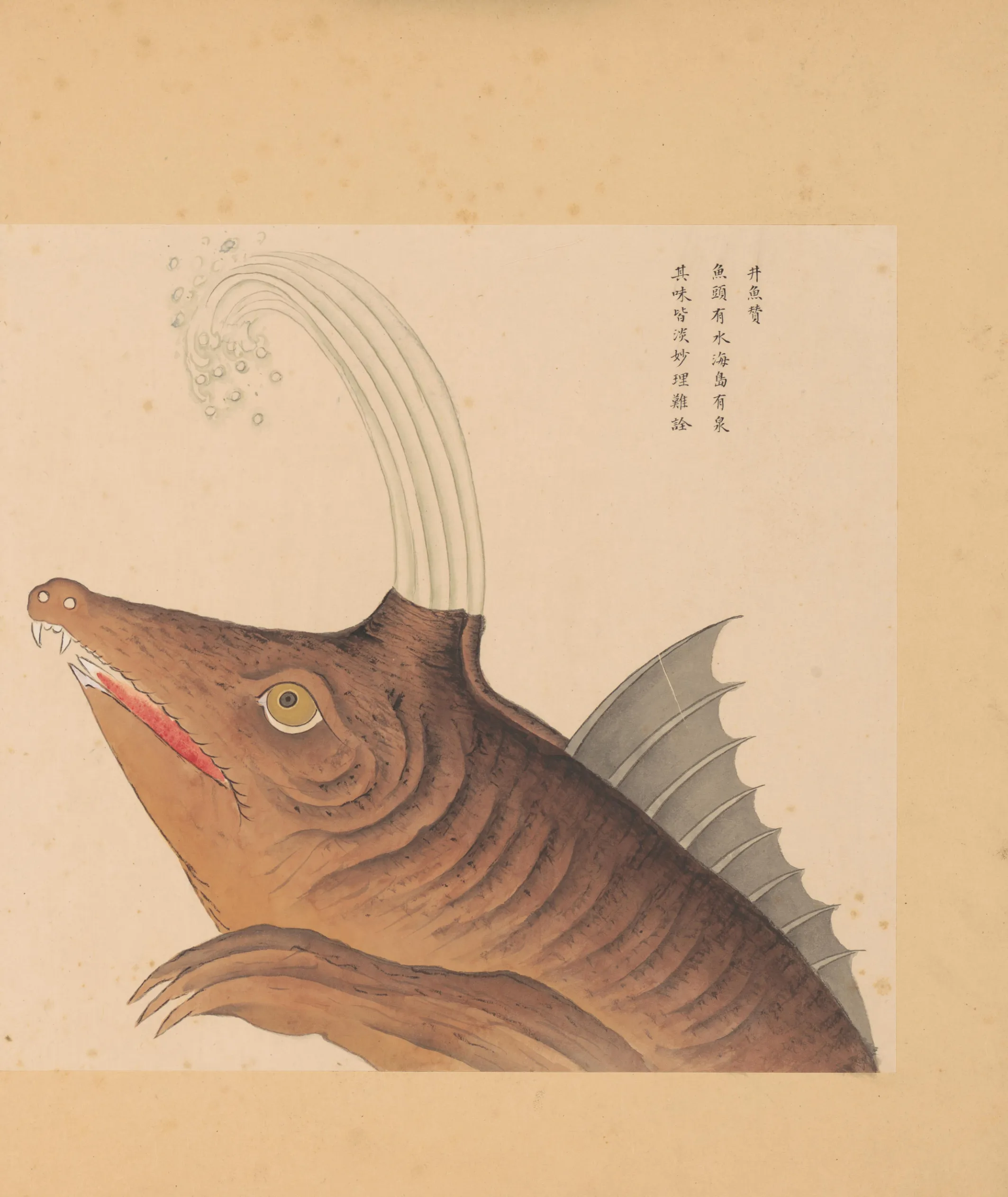 井鱼