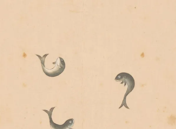参蕉鱼
