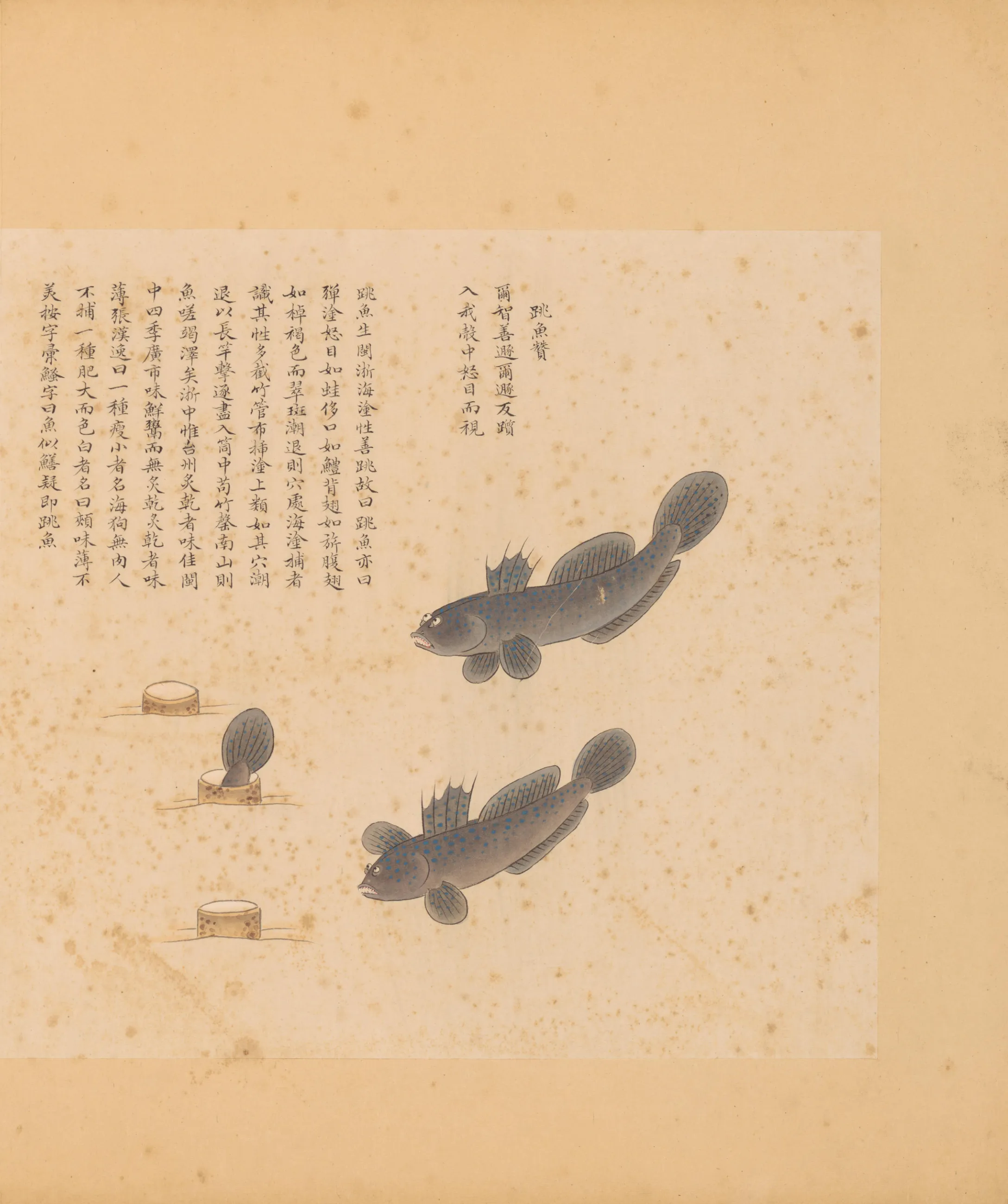 跳鱼