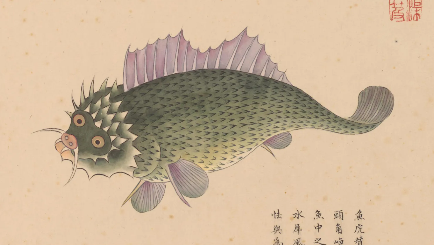 鱼虎