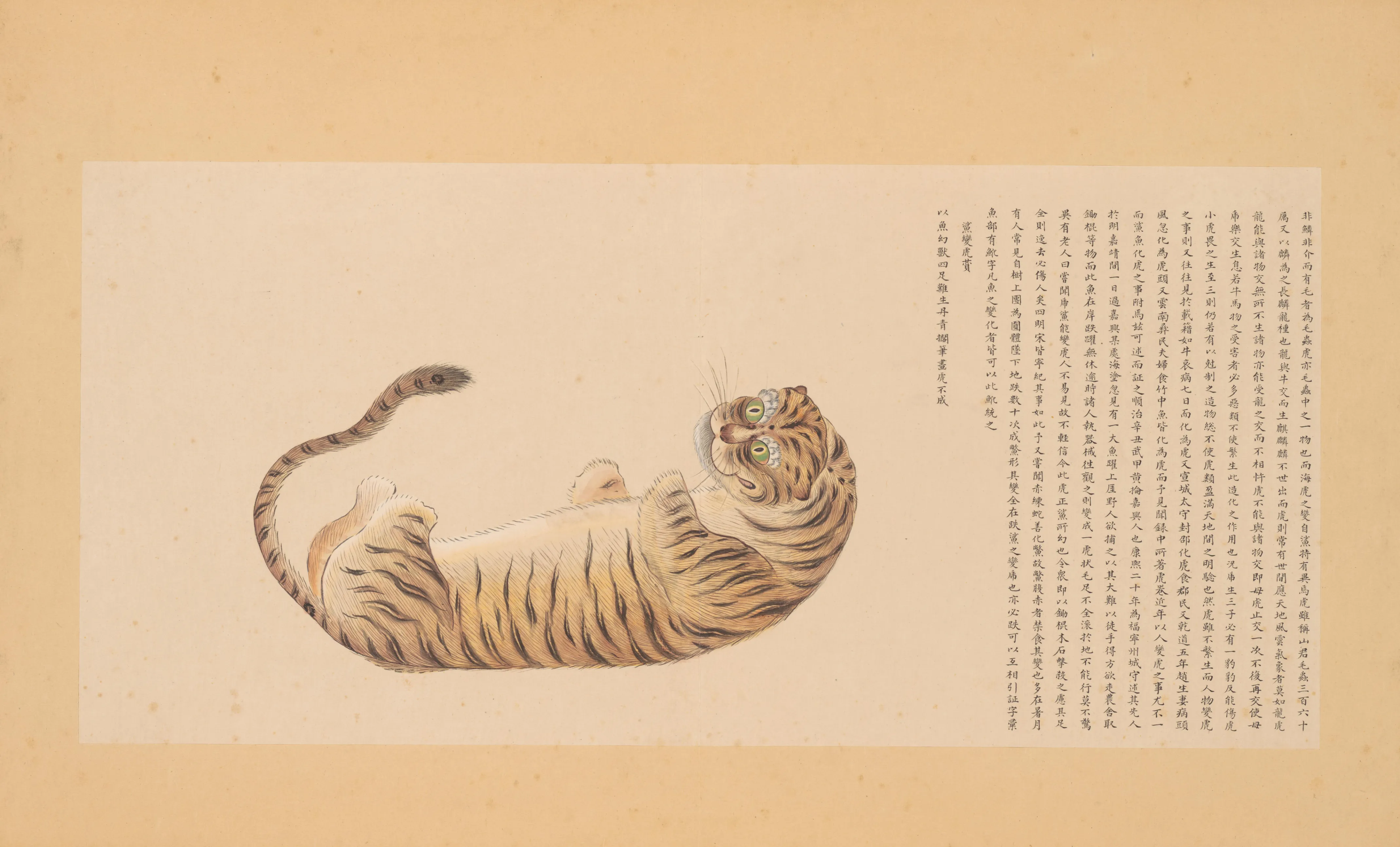 海虎