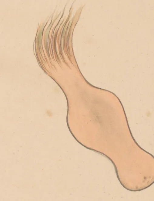 土花瓶