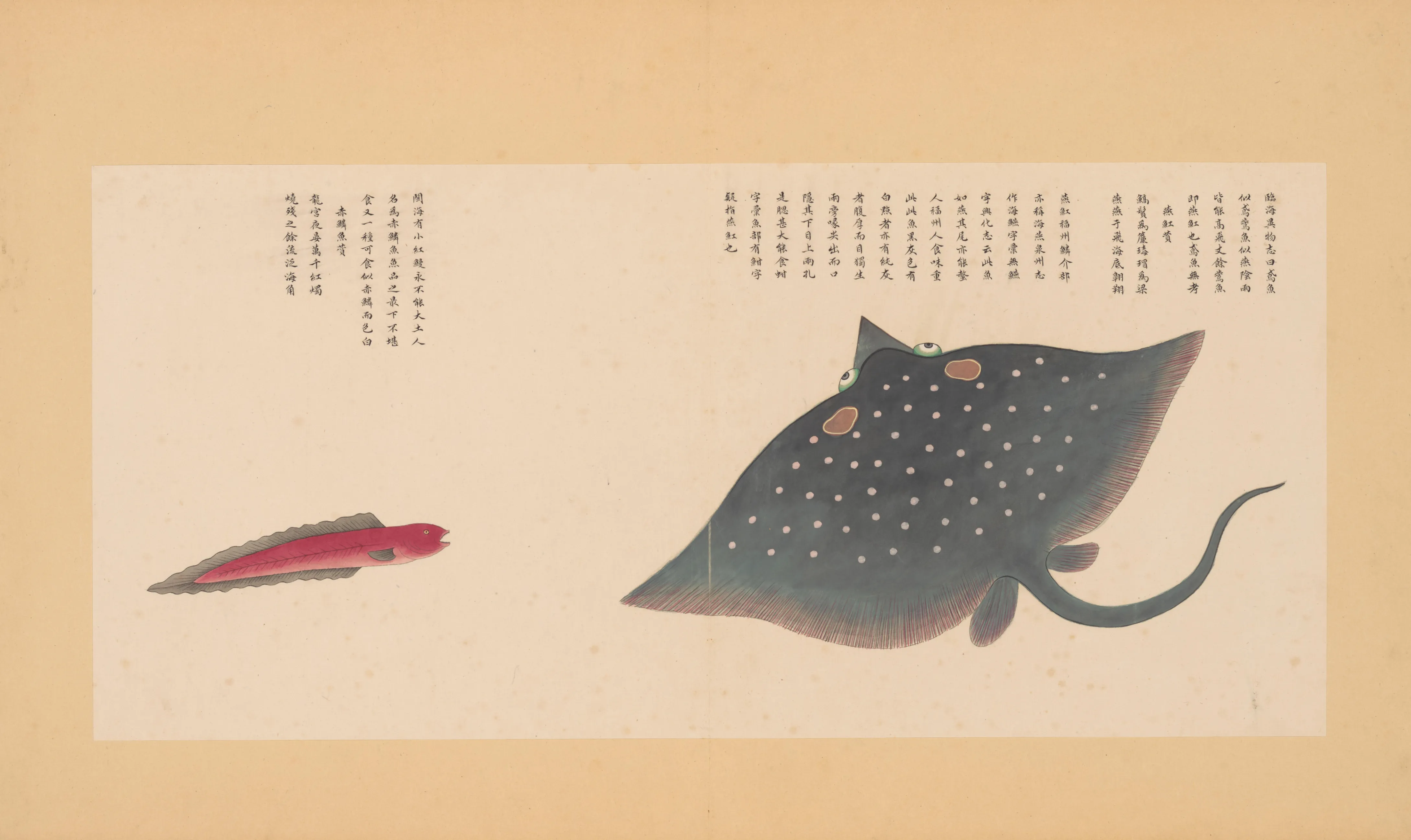 海燕
