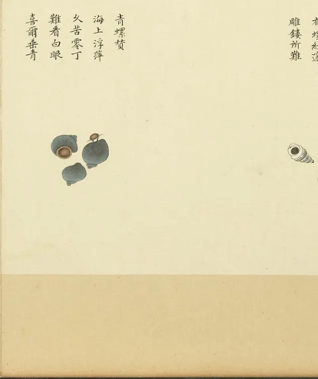 青螺