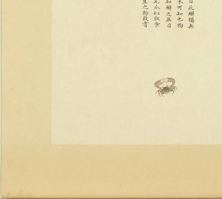 台郡溪蟹