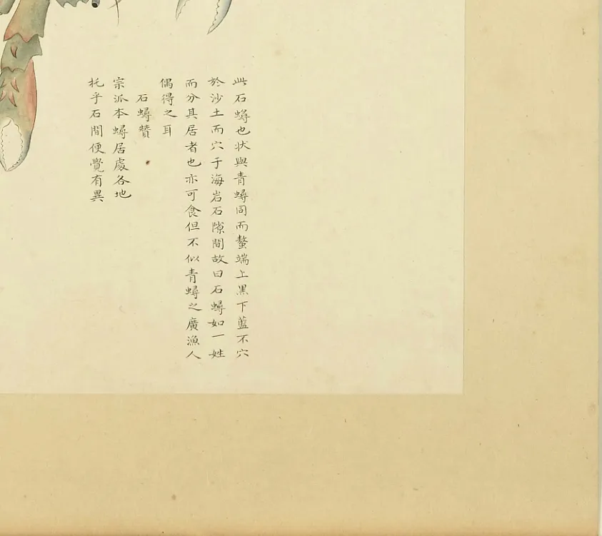 拨棹