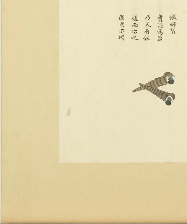 铁蛳